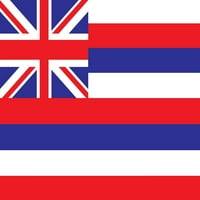 ניסיון בהוואי: פוסטר דגל הוואי