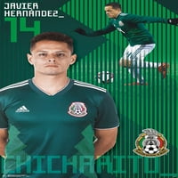 קבוצת הכדורגל הלאומית של מקסיקו - חאבייר הרננדז