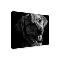 סימן מסחרי אמנות' כלביים לוח גירוד 'בד אמנות על ידי ג' ולי טי צ ' פמן